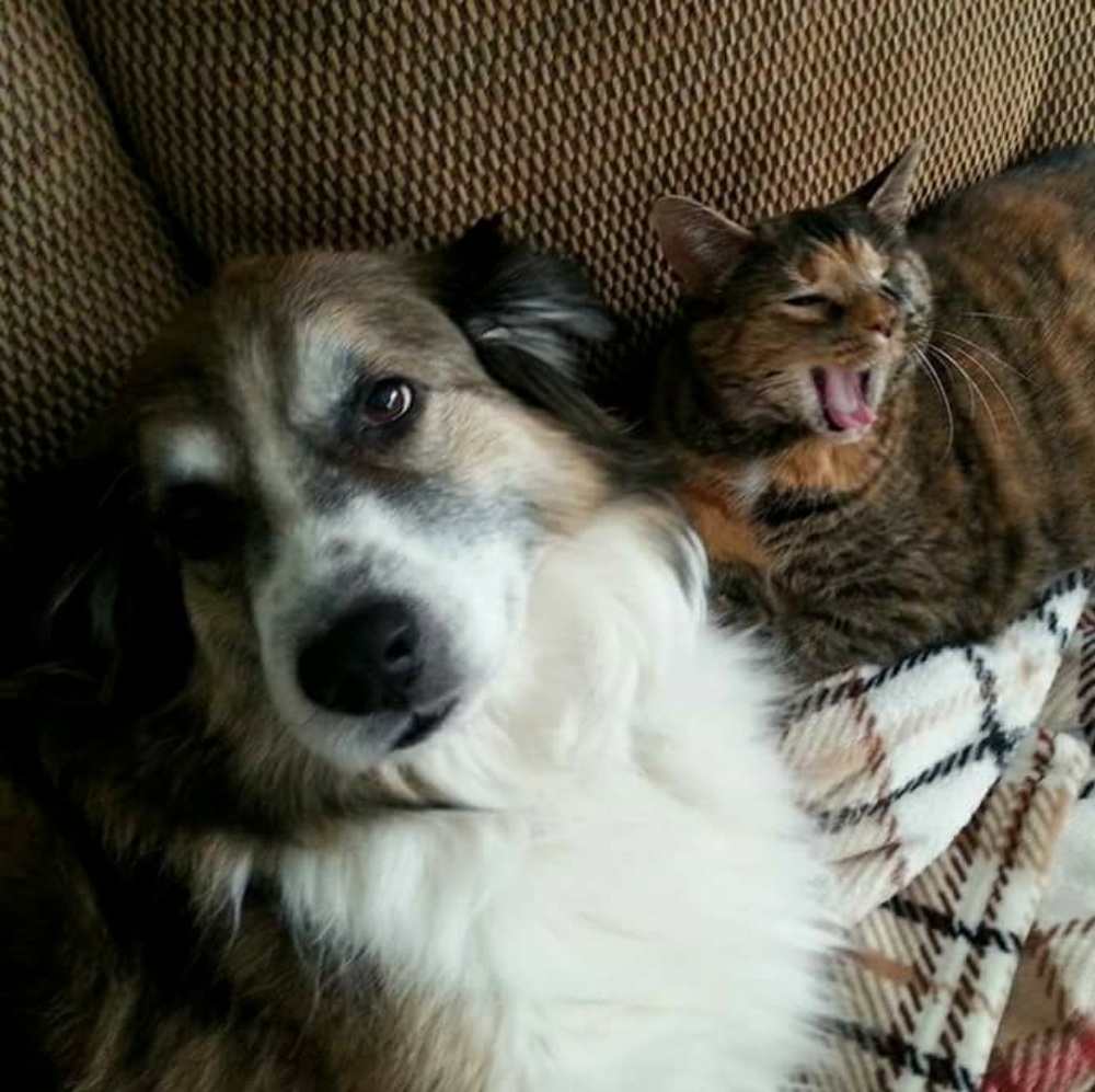 Meet your Posher, Ann